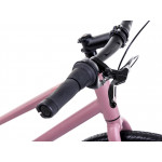 Mestský bicykel ROMET MISTRAL 2 D 2024 L Tmavoružová